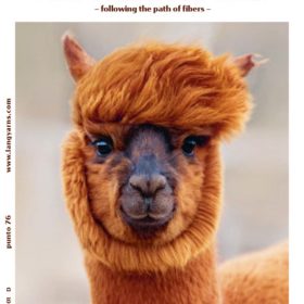 Punto 76 Alpaca Trails